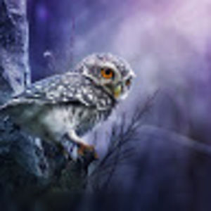 Meet your Posher, Chloe